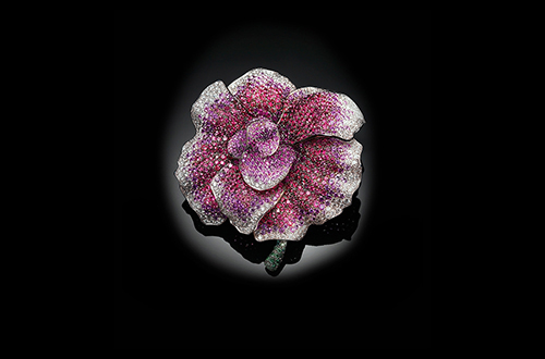BEGONIA